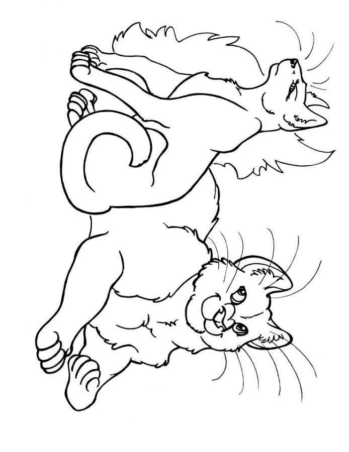 Kolorowanka z Kotami - Pobierz i Wydrukuj Urocze Rysunki kolorowanka do druku